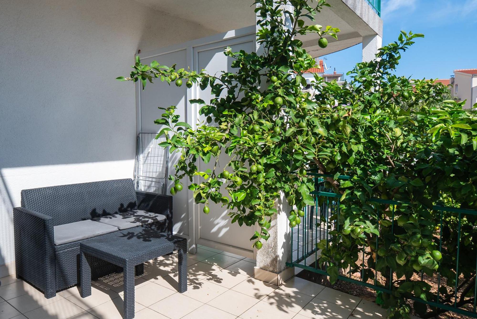 Apartments Polly Primošten Екстериор снимка
